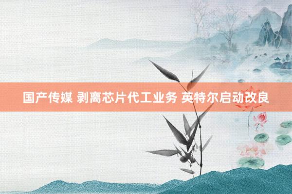 国产传媒 剥离芯片代工业务 英特尔启动改良