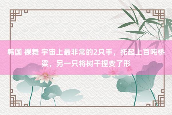 韩国 裸舞 宇宙上最非常的2只手，托起上百吨桥梁，另一只将树干捏变了形