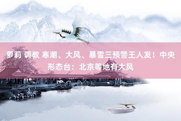萝莉 调教 寒潮、大风、暴雪三预警王人发！中央形态台：北京等地有大风