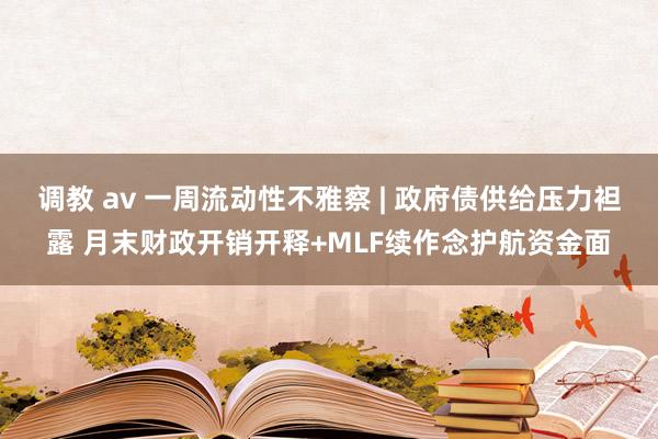 调教 av 一周流动性不雅察 | 政府债供给压力袒露 月末财政开销开释+MLF续作念护航资金面