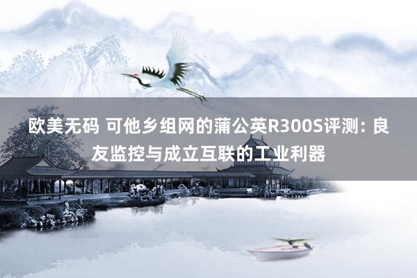 欧美无码 可他乡组网的蒲公英R300S评测: 良友监控与成立互联的工业利器