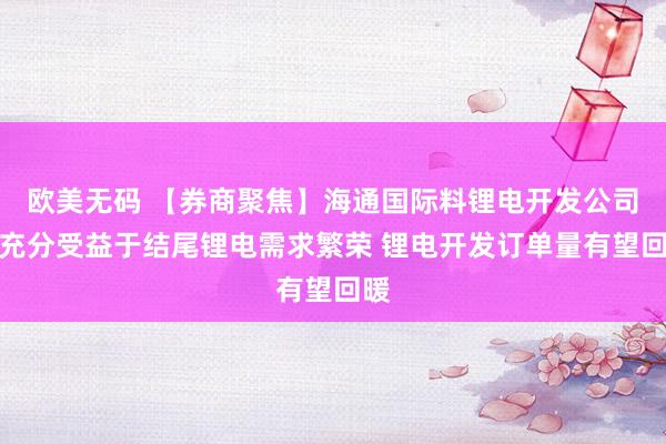 欧美无码 【券商聚焦】海通国际料锂电开发公司将充分受益于结尾锂电需求繁荣 锂电开发订单量有望回暖