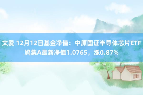 文爱 12月12日基金净值：中原国证半导体芯片ETF鸠集A最新净值1.0765，涨0.87%