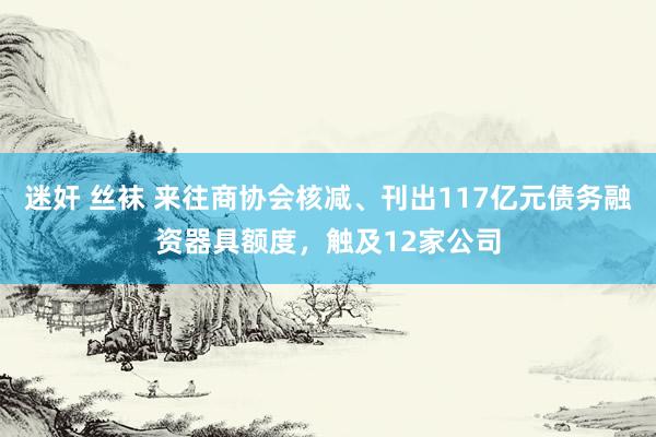 迷奸 丝袜 来往商协会核减、刊出117亿元债务融资器具额度，触及12家公司