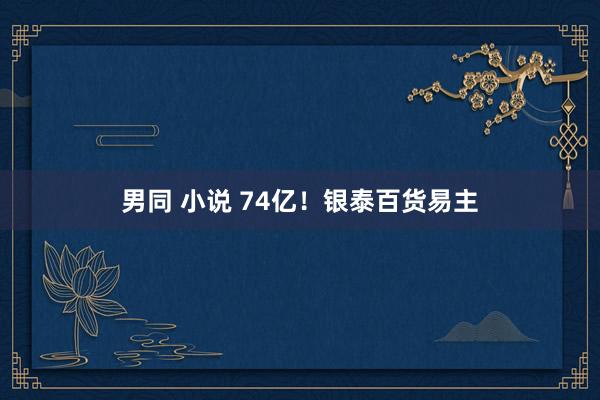 男同 小说 74亿！银泰百货易主