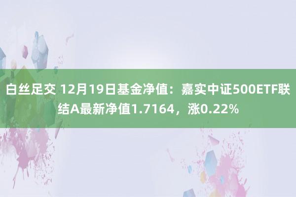 白丝足交 12月19日基金净值：嘉实中证500ETF联结A最新净值1.7164，涨0.22%