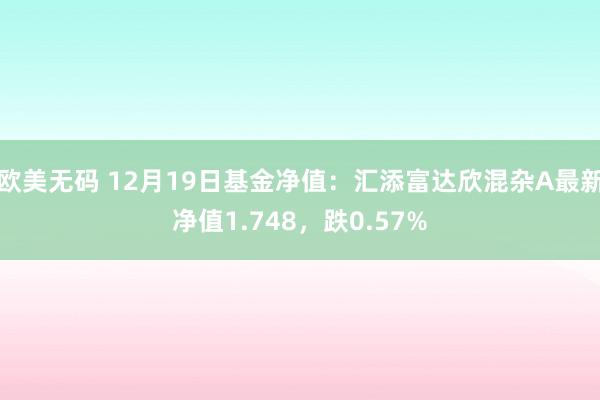 欧美无码 12月19日基金净值：汇添富达欣混杂A最新净值1.748，跌0.57%