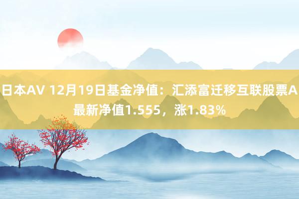 日本AV 12月19日基金净值：汇添富迁移互联股票A最新净值1.555，涨1.83%