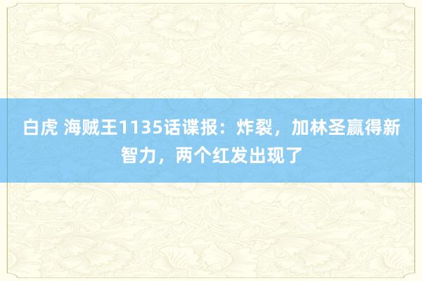 白虎 海贼王1135话谍报：炸裂，加林圣赢得新智力，两个红发出现了