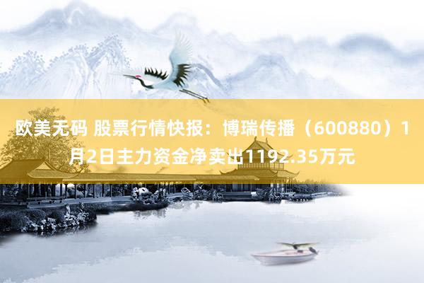 欧美无码 股票行情快报：博瑞传播（600880）1月2日主力资金净卖出1192.35万元