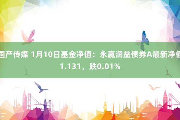 国产传媒 1月10日基金净值：永赢润益债券A最新净值1.131，跌0.01%