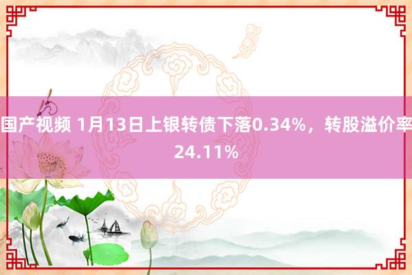 国产视频 1月13日上银转债下落0.34%，转股溢价率24.11%