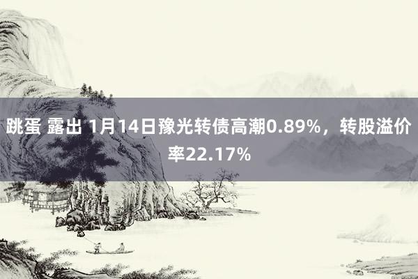 跳蛋 露出 1月14日豫光转债高潮0.89%，转股溢价率22.17%