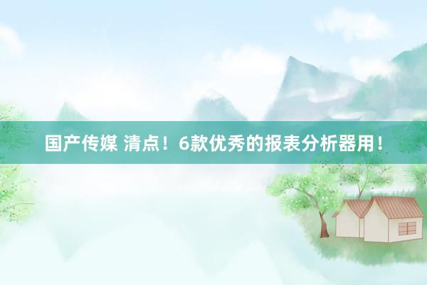 国产传媒 清点!6款优秀的报表分析器用!