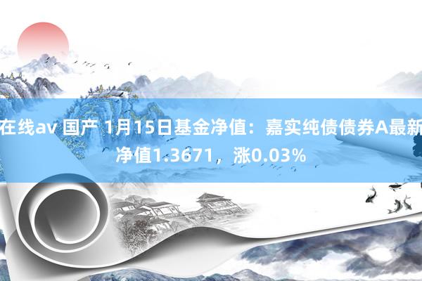 在线av 国产 1月15日基金净值：嘉实纯债债券A最新净值1.3671，涨0.03%