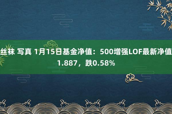 丝袜 写真 1月15日基金净值：500增强LOF最新净值1.887，跌0.58%
