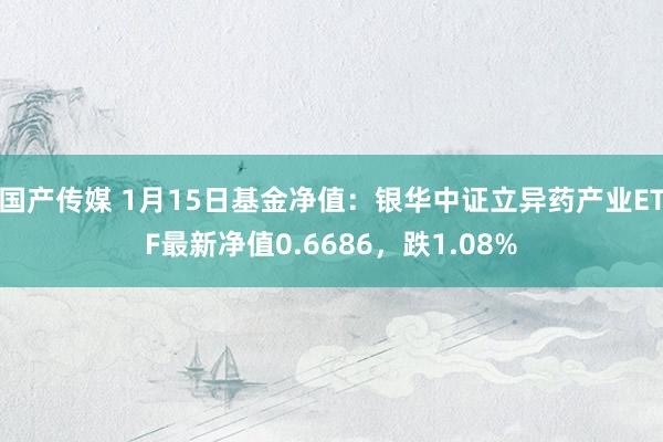 国产传媒 1月15日基金净值：银华中证立异药产业ETF最新净值0.6686，跌1.08%