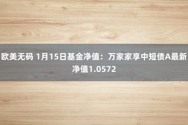 欧美无码 1月15日基金净值：万家家享中短债A最新净值1.0572