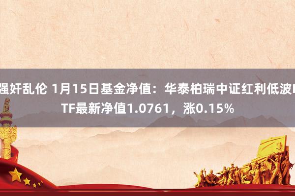强奸乱伦 1月15日基金净值：华泰柏瑞中证红利低波ETF最新净值1.0761，涨0.15%