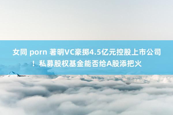 女同 porn 著明VC豪掷4.5亿元控股上市公司！私募股权基金能否给A股添把火