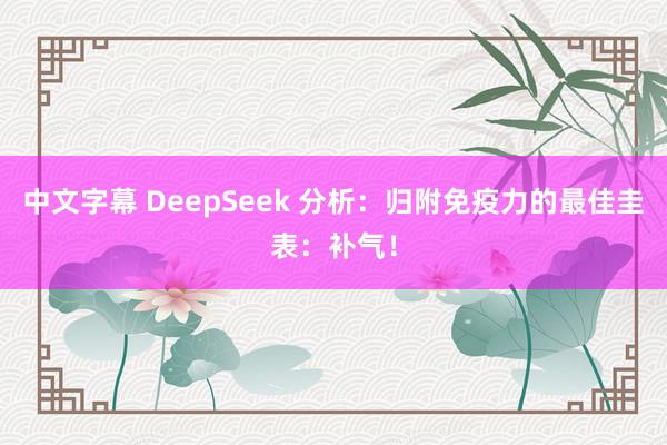 中文字幕 DeepSeek 分析：归附免疫力的最佳圭表：补气！