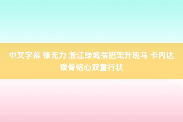 中文字幕 锋无力 浙江绿城摆招架升班马 卡内达镂骨铭心双重行状