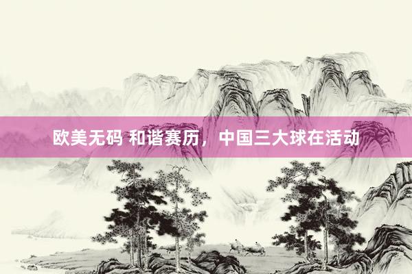 欧美无码 和谐赛历，中国三大球在活动