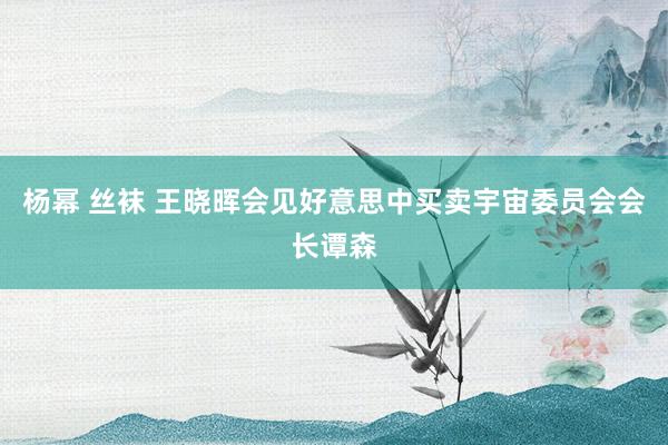 杨幂 丝袜 王晓晖会见好意思中买卖宇宙委员会会长谭森