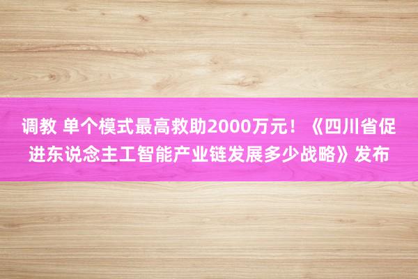 调教 单个模式最高救助2000万元！《四川省促进东说念主工智能产业链发展多少战略》发布