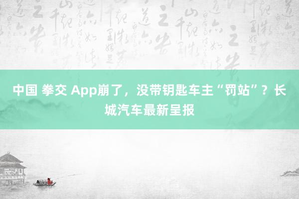 中国 拳交 App崩了，没带钥匙车主“罚站”？长城汽车最新呈报