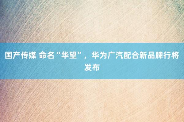 国产传媒 命名“华望”，华为广汽配合新品牌行将发布