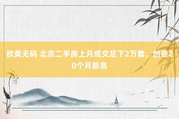欧美无码 北京二手房上月成交足下2万套，创逾20个月新高