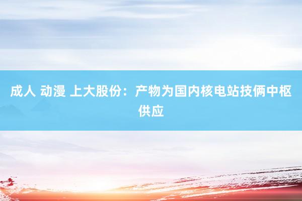 成人 动漫 上大股份：产物为国内核电站技俩中枢供应
