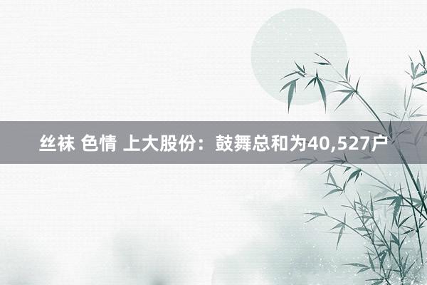 丝袜 色情 上大股份：鼓舞总和为40，527户