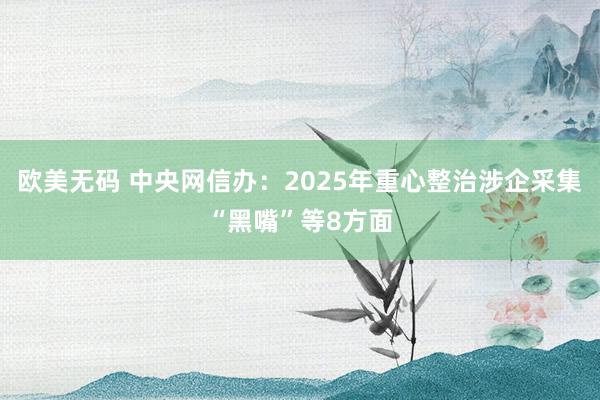 欧美无码 中央网信办：2025年重心整治涉企采集“黑嘴”等8方面