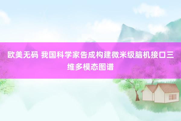 欧美无码 我国科学家告成构建微米级脑机接口三维多模态图谱