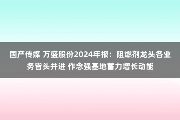 国产传媒 万盛股份2024年报：阻燃剂龙头各业务皆头并进 作念强基地蓄力增长动能