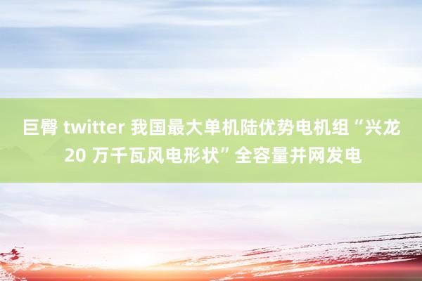 巨臀 twitter 我国最大单机陆优势电机组“兴龙 20 万千瓦风电形状”全容量并网发电