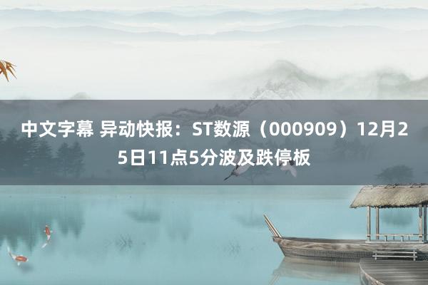 中文字幕 异动快报：ST数源（000909）12月25日11点5分波及跌停板