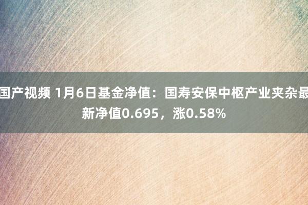 国产视频 1月6日基金净值：国寿安保中枢产业夹杂最新净值0.695，涨0.58%