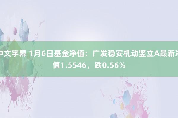 中文字幕 1月6日基金净值：广发稳安机动竖立A最新净值1.5546，跌0.56%