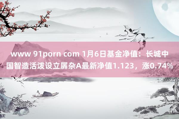 www 91porn com 1月6日基金净值：长城中国智造活泼设立羼杂A最新净值1.123，涨0.74%