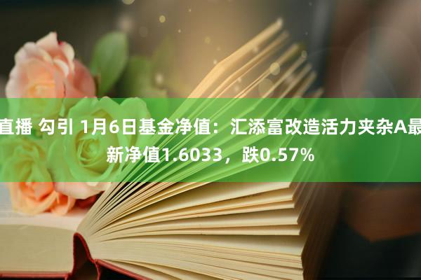 直播 勾引 1月6日基金净值：汇添富改造活力夹杂A最新净值1.6033，跌0.57%