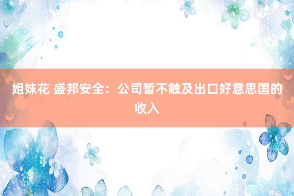 姐妹花 盛邦安全：公司暂不触及出口好意思国的收入