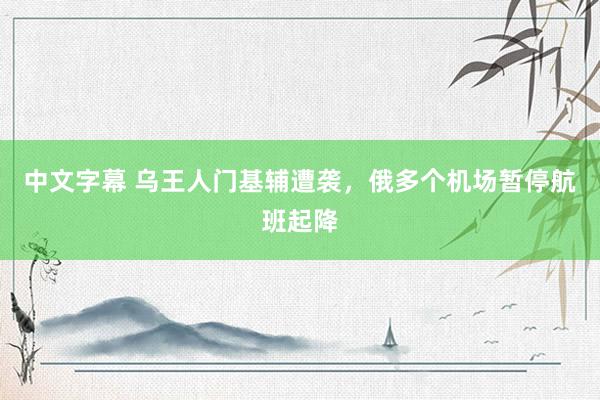 中文字幕 乌王人门基辅遭袭，俄多个机场暂停航班起降