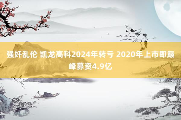 强奸乱伦 凯龙高科2024年转亏 2020年上市即巅峰募资4.9亿